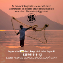 Adó 1százalék felajánlás Szent András Evangelizációs Iskola ADÓ 1százalék