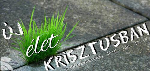 kép: (CC) Francois Bester: In this desolate place ... forrás: https://www.flickr.com/photos/fbester/58720126