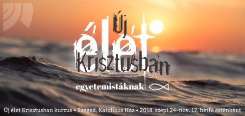 Fotó: CC0 Pexels https://pixabay.com/photo-1867285/