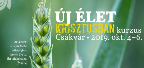 Fotó: közkincs https://pixabay.com/images/id-2229/