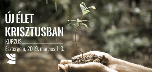 Fotó: CC0 Pexels https://pixabay.com/photo-1838659/